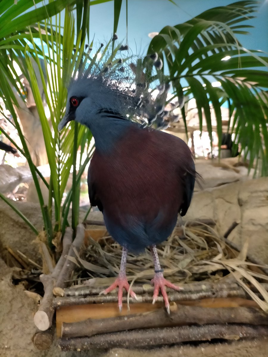 #那須どうぶつ王国 