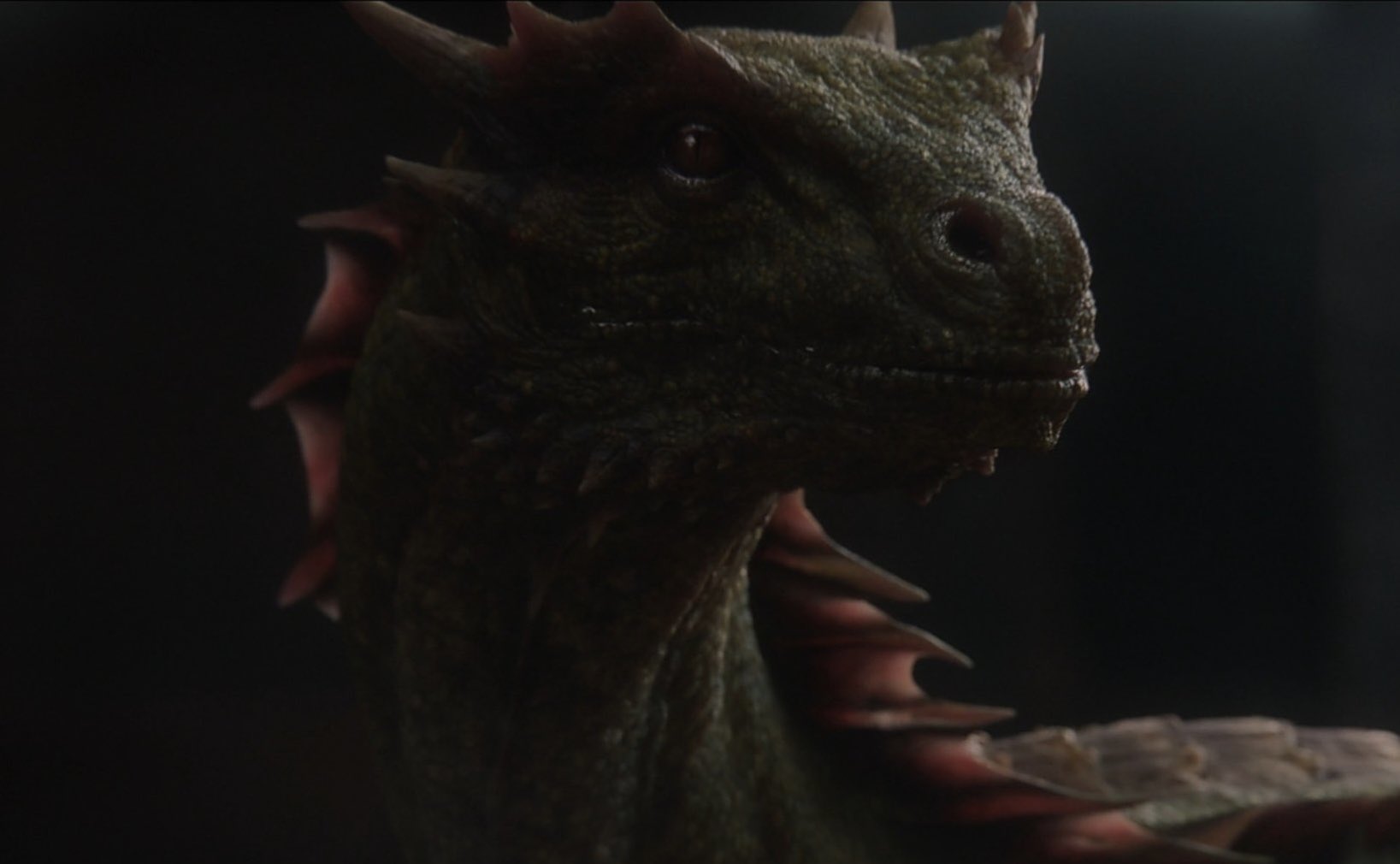out of context house of the dragon on Twitter: "Vermax, the Dragon of Jacaerys Velaryon #HouseOfTheDragon https://t.co/CjNwf6oGuK" / Twitter