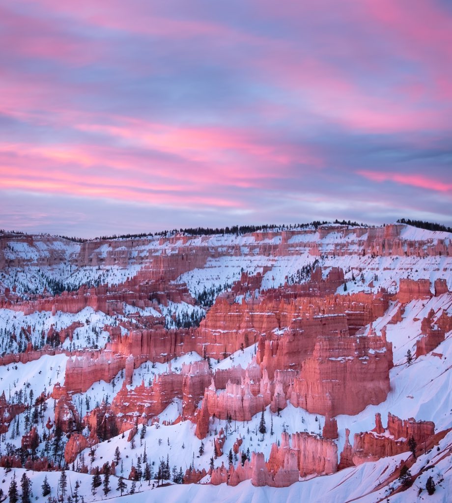 patricktduncan's tweet photo. @MrWhoCapture @photography @OutdoorPhotoMag @Lionsightphoto @L0stinF0cus @JeriLile @JBrushertphoto1 @HaywainPhoto @Janas2110 @iTheFelizer @adamphotospro Winter mornings with the hoodoos https://t.co/xMky9nH0La
