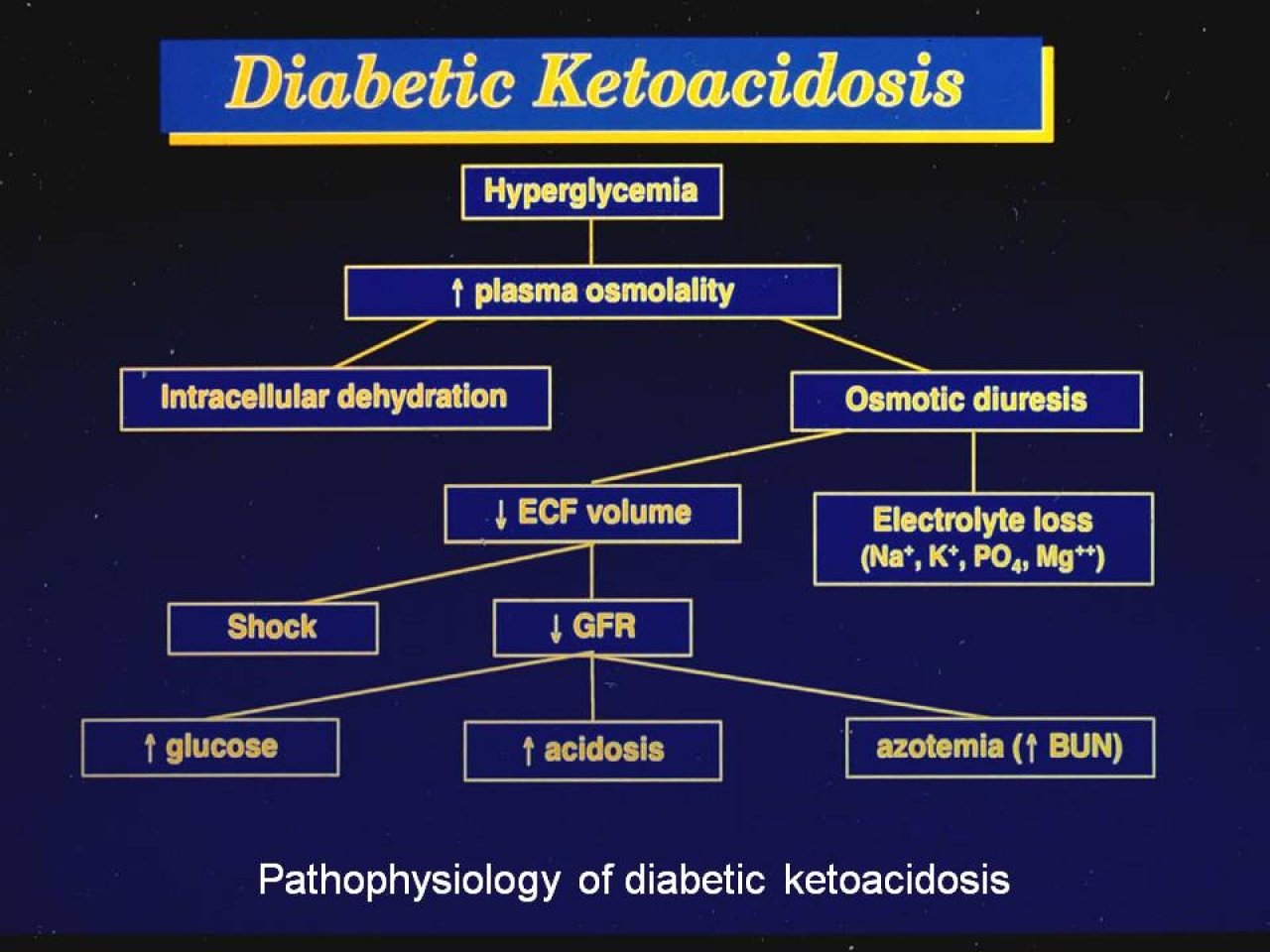Cetoacidosis diabetica versus cetosis