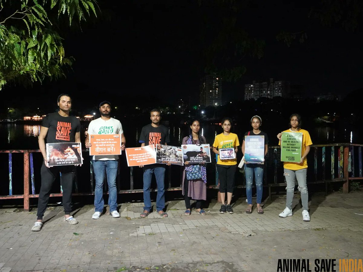 MAnimalSave's tweet photo. We showed the videos of animal agriculture industry, where animals are brutally murdered for human consumption, entertainment, wearing, etc.
Let's abolish animal agriculture, go vegan and join us TODAY!
#SundayOutreach https://t.co/YV4asHEHjJ