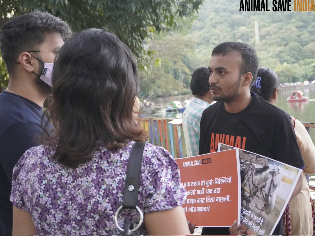 MAnimalSave's tweet photo. We showed the videos of animal agriculture industry, where animals are brutally murdered for human consumption, entertainment, wearing, etc.
Let's abolish animal agriculture, go vegan and join us TODAY!
#SundayOutreach https://t.co/YV4asHEHjJ