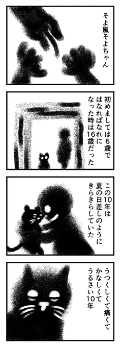 そよちゃん(3/3) 