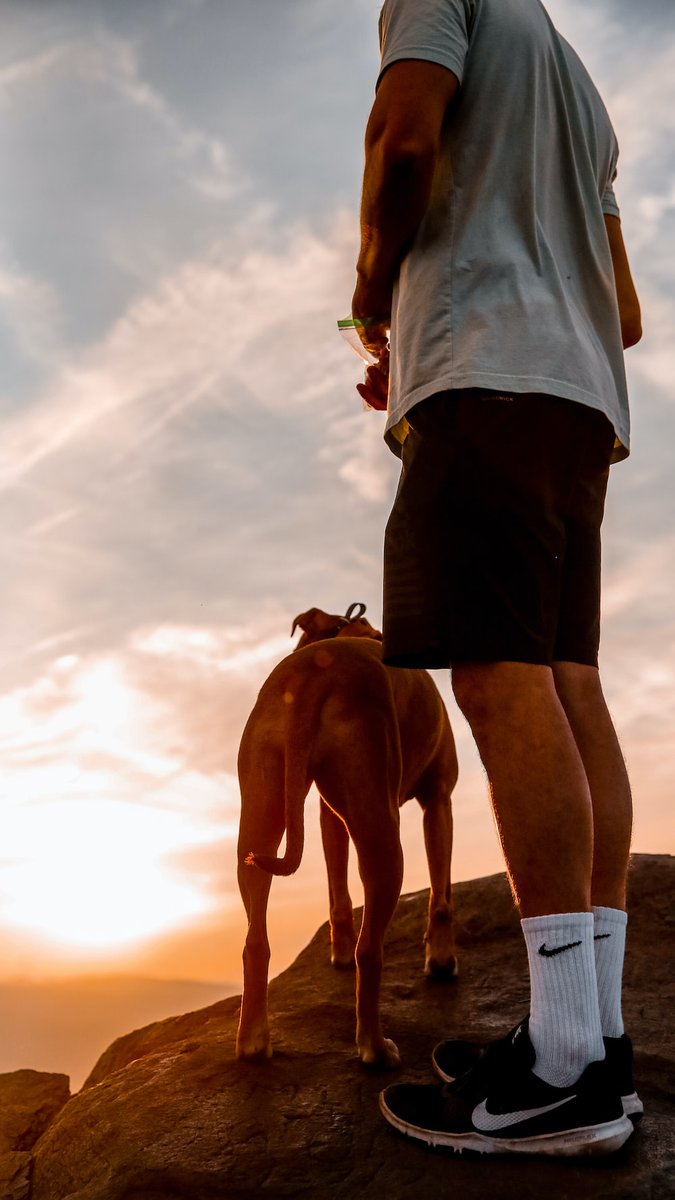 WalterLoyd5's tweet photo. As wonderful as dogs can be, they are famous for missing the point. @WalterLoyd5 

#dogs #DogsofTwittter  #dogslife #dogsarefamily #dogsarethebest #canineweekly https://t.co/5ONmdNgXBi