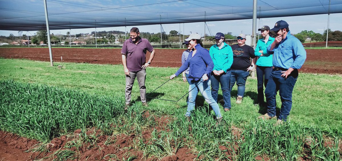 JazSkinner's tweet photo. Day 1 of the AGR2203 Animal Nutrition residential school for @UniSQ_SoAES students. We welcomed Jordan Minniecon from @LallemandAnimal for a fantastic talk! before heading to the Agplot to talk correct crop and pasture collection! #WeAreAg #AnimalScience #AnimalNutrition https://t.co/e6ISZKJ9oJ