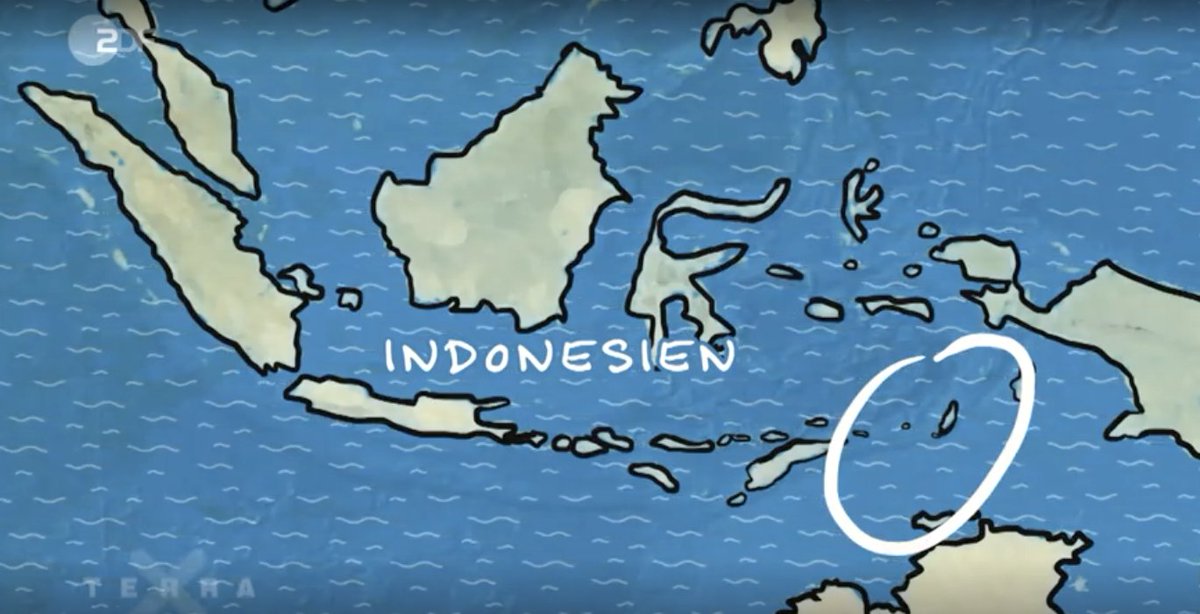 Goffin Lab Tanimbar tweet media