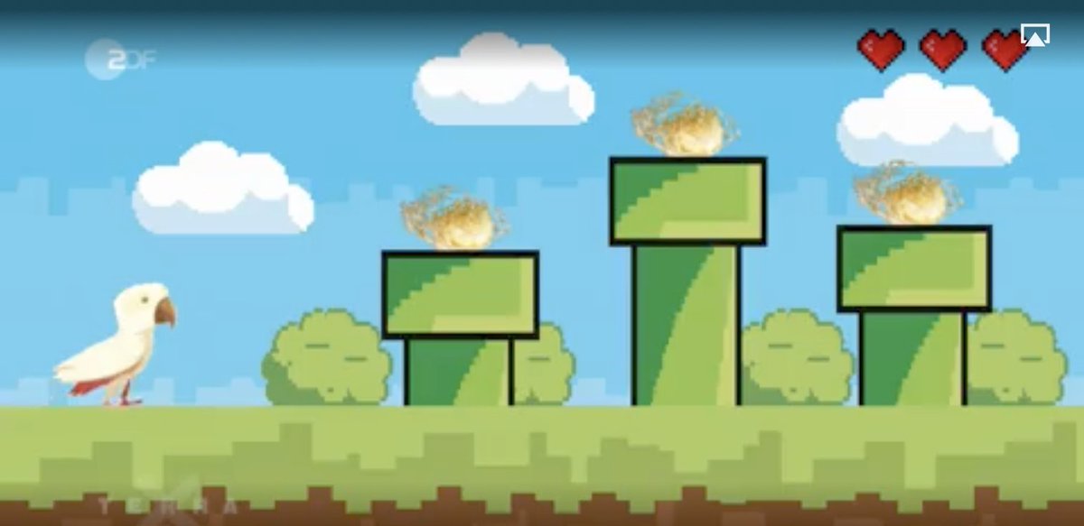 Goffin Lab Tanimbar tweet media