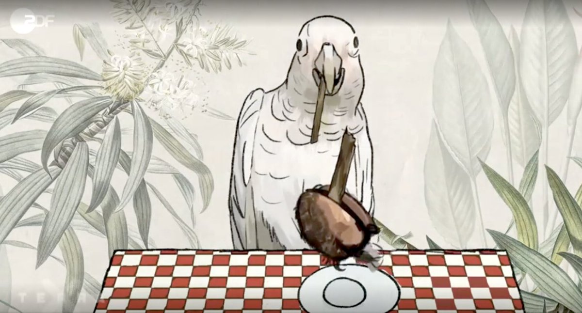 Goffin Lab Tanimbar tweet media