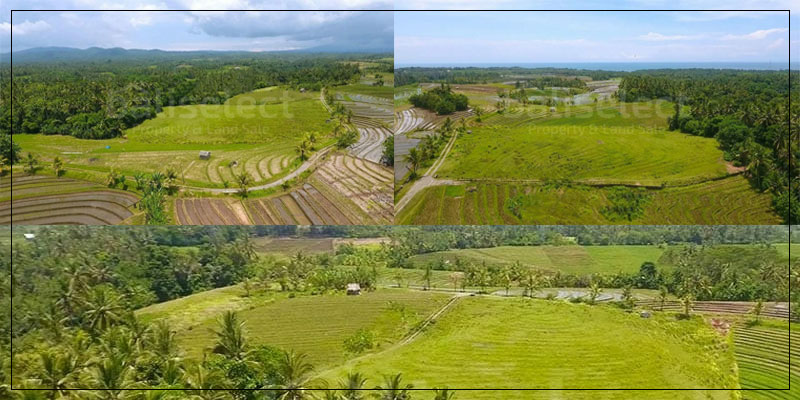 bspcanggu's tweet photo. Every Serious Offer Will Be Consider - https://t.co/tY1LXWUFar https://t.co/mFA5TKwqot