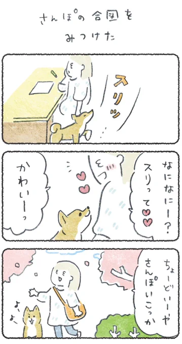 これをすれば散歩に行ける!と犬に思わせてしまった話つづきはリプに#豆しばこつぶ 