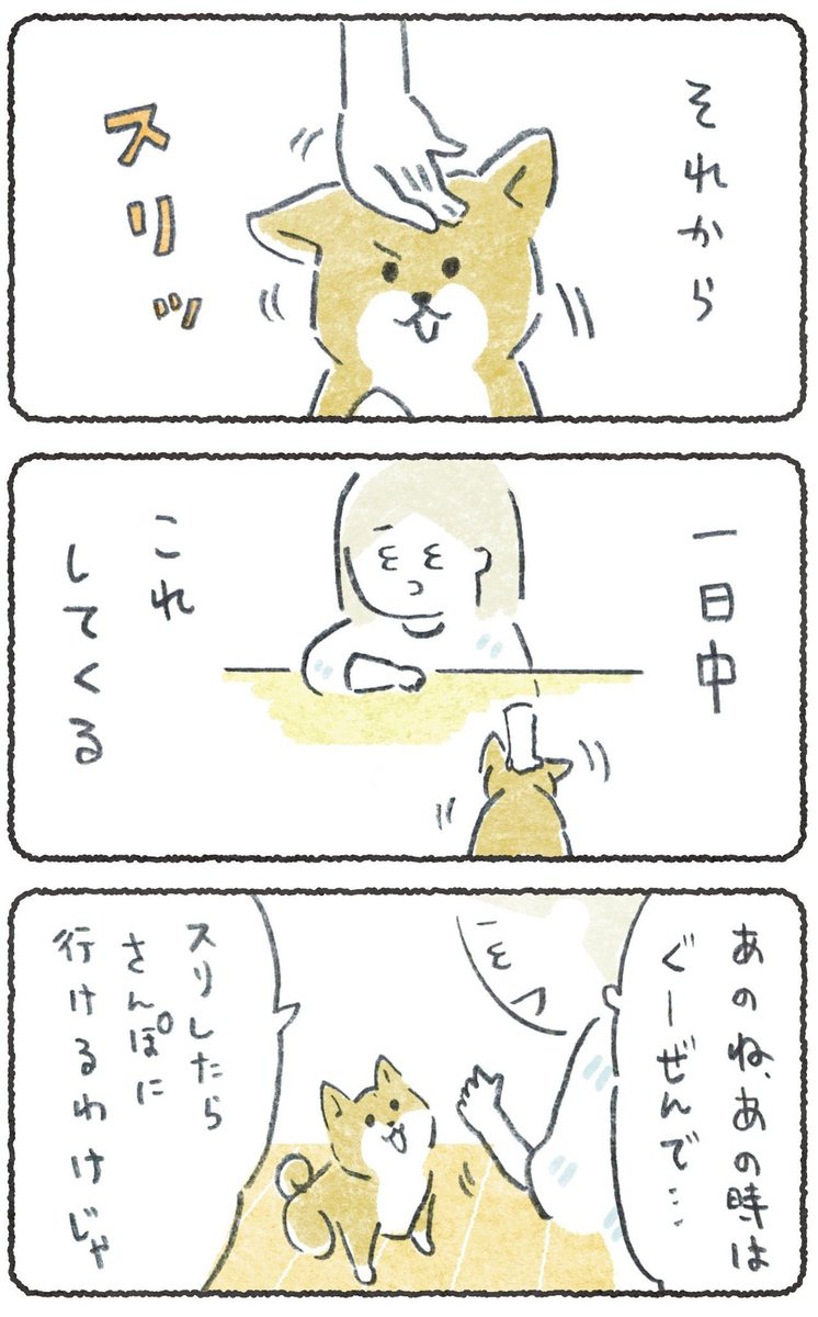 これをすれば散歩に行ける!
と犬に思わせてしまった話🐕😍

つづきはリプに
#豆しばこつぶ 