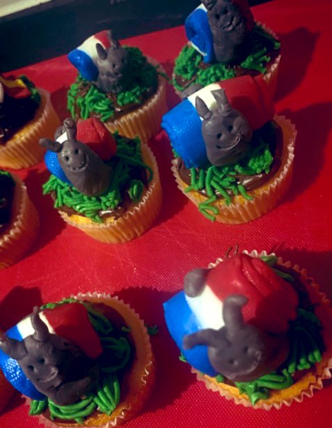 MrsJARogers's tweet photo. All ready for the European Bake Off today @StewardsAcademy - Jamie and I had lots of fun baking these, can’t wait to see what creative bakes we’re going to see today! #EuropeanDayofLanguages #bakeoff https://t.co/gD17mxvbgY