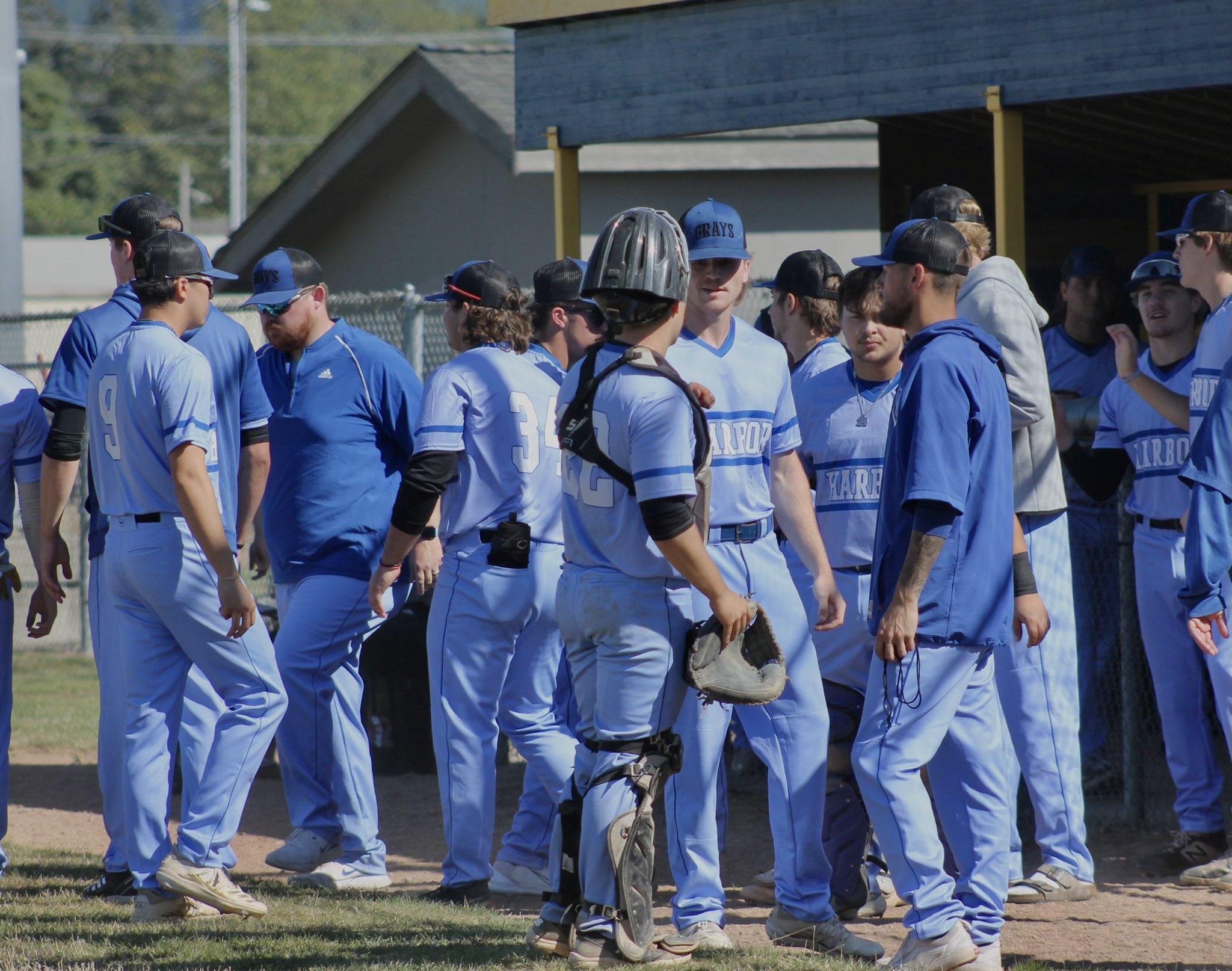 Harbor Baseball on Twitter "🥶🥶🥶 https//t.co/TflODGtQNC" / Twitter