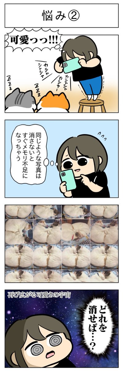 悩み①②│フェリシモ猫部 https://t.co/JoQyXwqzUe 