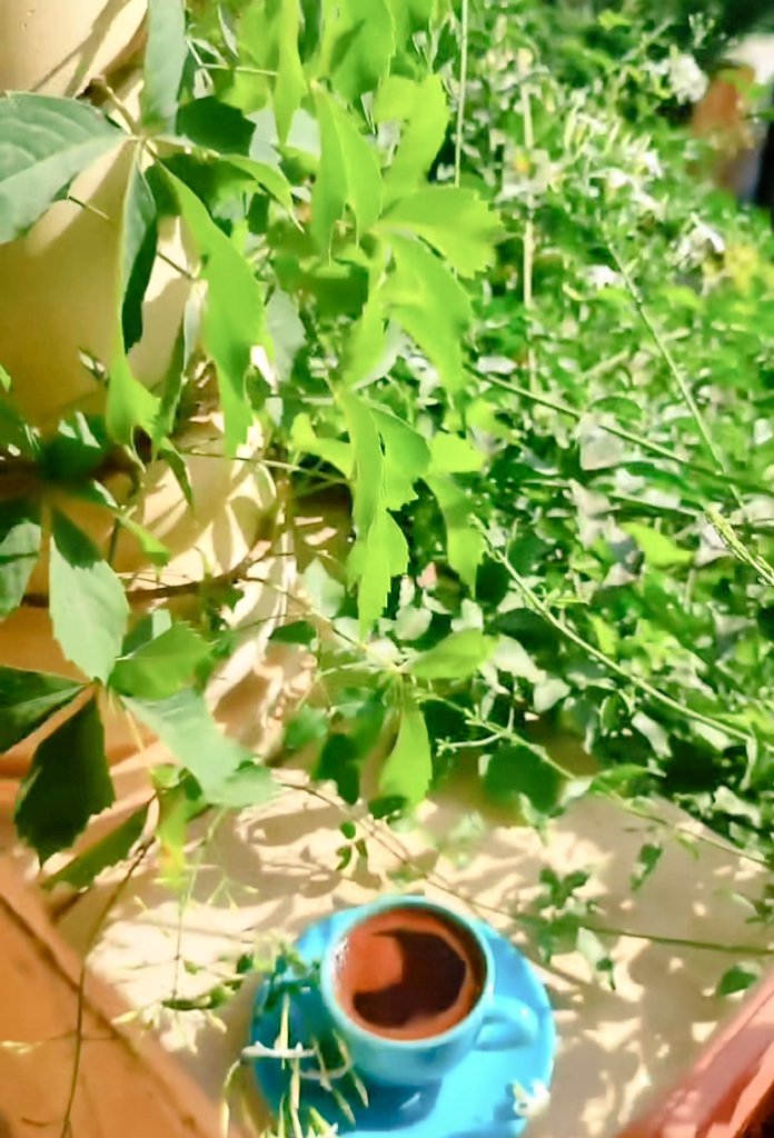 🌾🌿

لنگن گالياسمين لا يؤثر فيه اختلاف الفصول الأربعة.. 
ولا يُسدل سِتار عطره مهما إختلفت الظروف.. 
ويبقى الياسمين أبيضآ مهما خانته الفصول.. 
فأسعد الله من گانوا دومًا گزهور الياسمين في حياتنا... 
 
#صباح_الخير
#ايش_مودك_اليوم