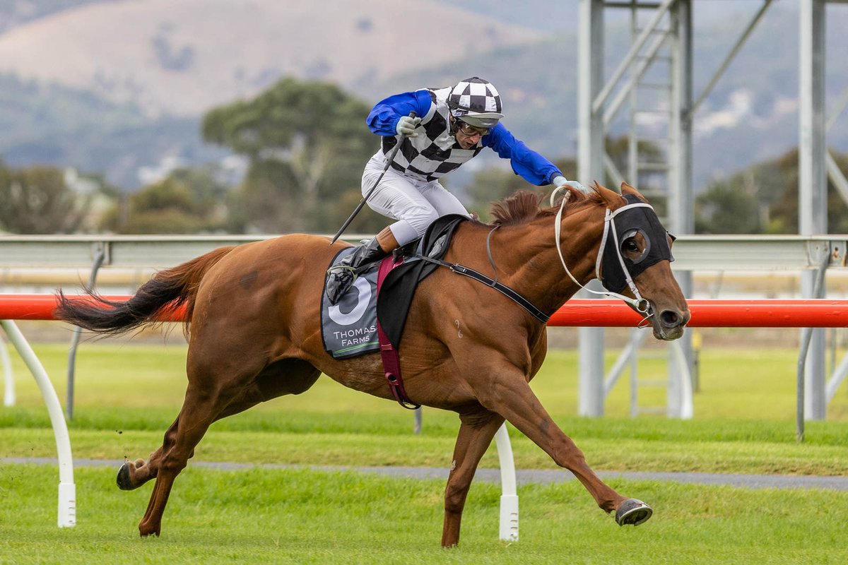 Racing SA (@racingsa) on Twitter photo .<a href="/TJDoudleracing/">travisdoudleracing</a> & <a href="/Clarken_Racing/">Clarken Racing</a> both have their sights set on more country cup success 🏆
READ MORE | bit.ly/3DXynlM .<a href="/TJDoudleracing/">travisdoudleracing</a> & <a href="/Clarken_Racing/">Clarken Racing</a> both have their sights set on more country cup success 🏆
READ MORE | bit.ly/3DXynlM