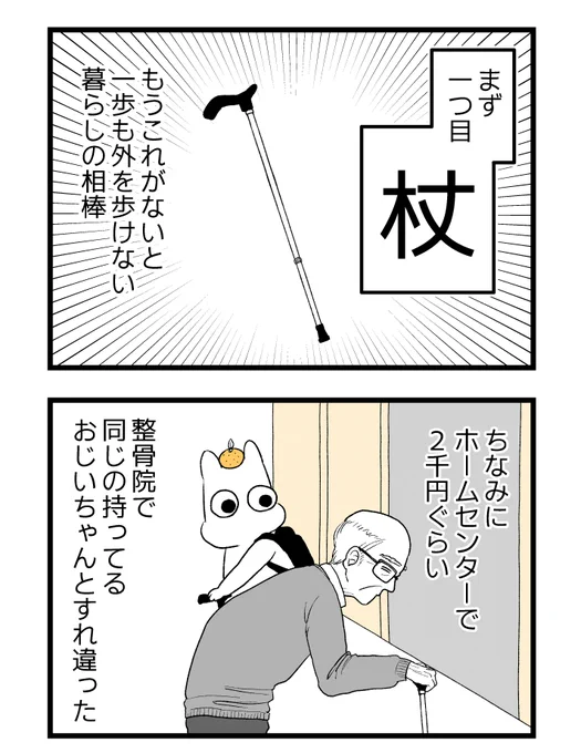 何このめっちゃかわいい杖…私のホムセン2,000円のと大違いじゃん…  