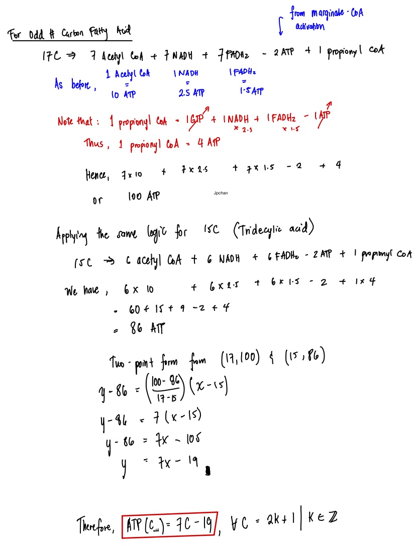 chanjonachan's tweet image. Hi Pharm twitter. More useful for you guys than us :))

I derived a quick formula for the ATP yield for the complete β-oxidation of
Even-chain fatty acids: 7C – 6
Odd-chain fatty acids: 7C – 19

C = # of Carbons in the fatty acid. 

Assumption:
1 NADH = 2.5 ATP
1 FADH2 = 1.5 ATP