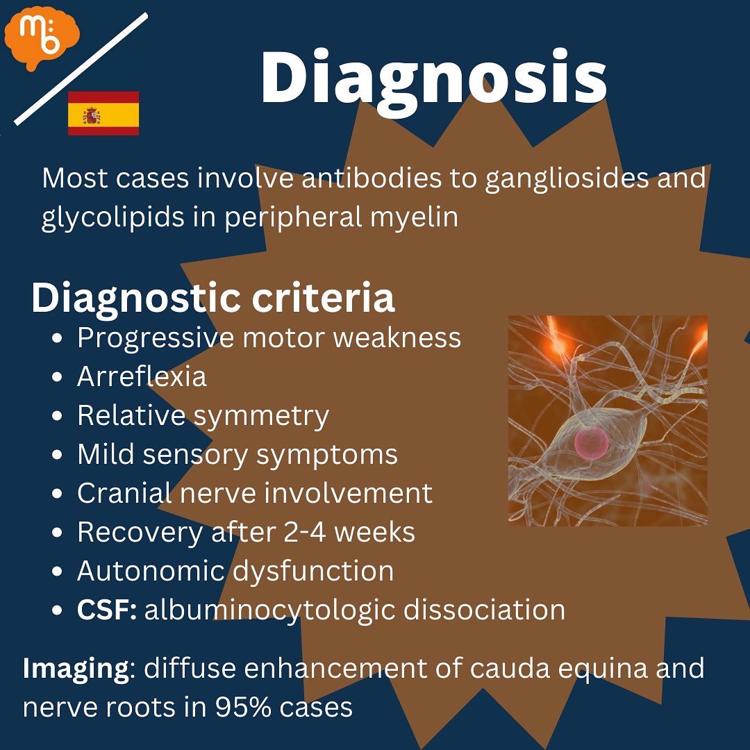 Mission:Brain Complutense tweet media