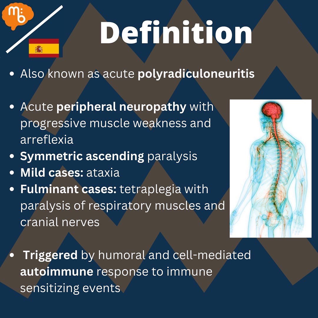 Mission:Brain Complutense tweet media