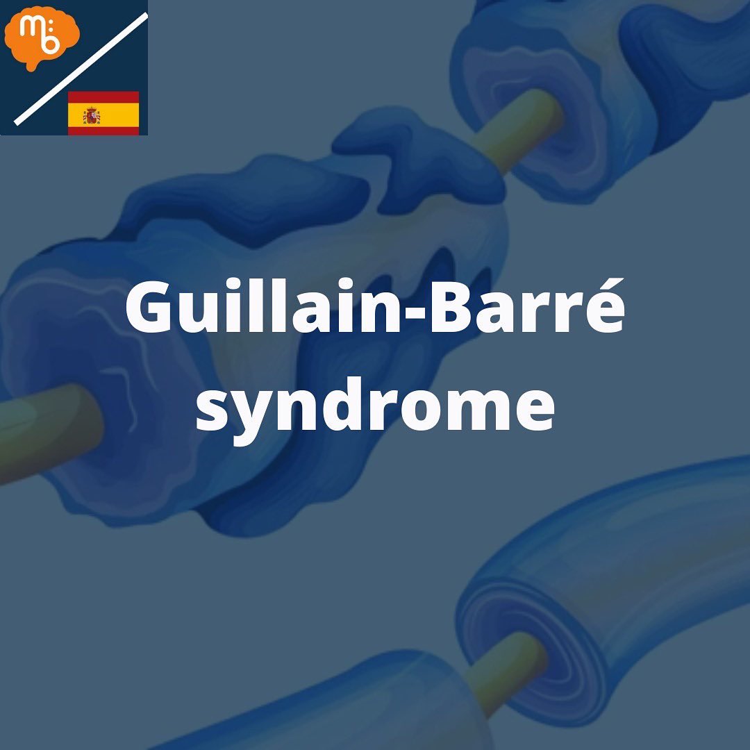 Mission:Brain Complutense tweet media