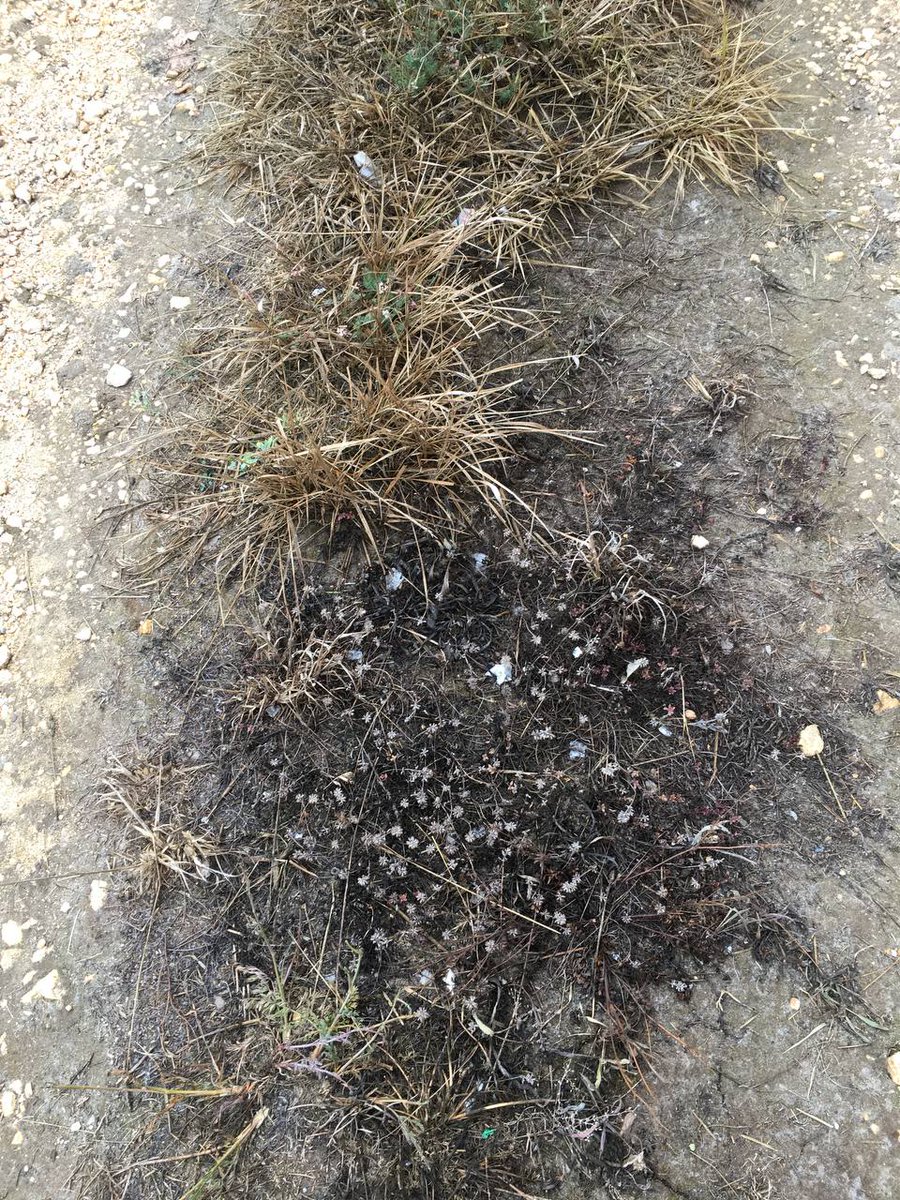 IUAraba's tweet photo. 🟥Visitando los concejos de #Urrunaga y #Goian, para ver insitu, lo expuesto en @jjggalava  en  la comparecencia de la plataforma #HerriakBizirik   “la situación de contaminación ambiental de polvo, ruido, olores …" https://t.co/OUSJIzxOgG