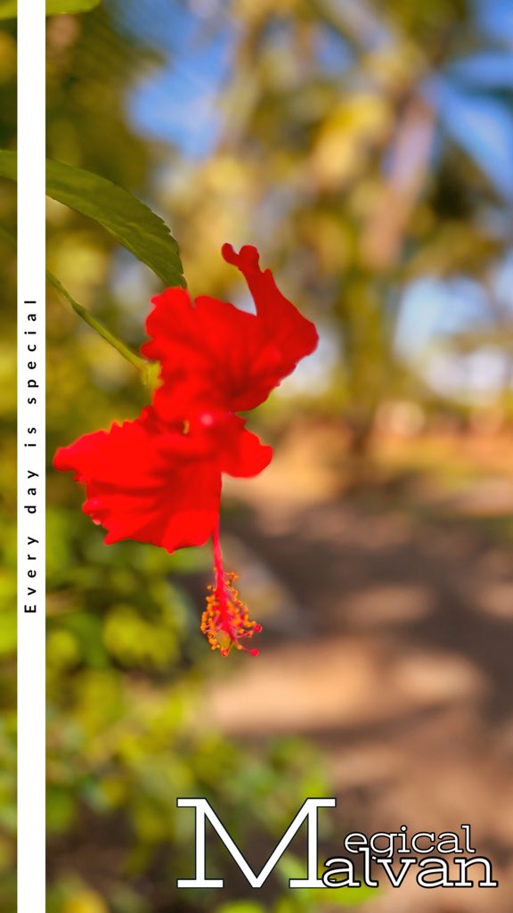 santm (@santm20) on Twitter photo 