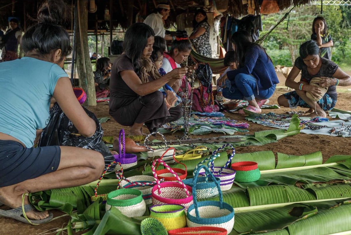 theGEF's tweet photo. This #WorldTourismDay take a journey into the heart of Ecuador’s Amazon rainforest to see how indigenous communities are redefining sustainable tourism 🌳

With @UNDP @LionsShareFund &amp; @GEF_SGP support, they're building resilience in wildlife-rich areas: https://t.co/8LsE7CnXOB https://t.co/jlgiqZA97m