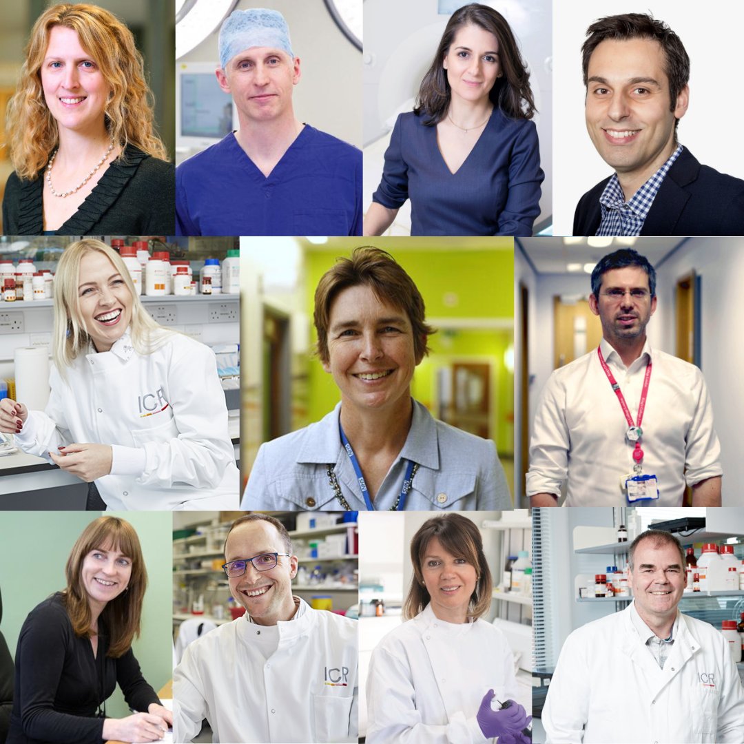ICR_London's tweet image. We are proud to award the titles of Professor and Reader to 11 researchers from across the ICR and @royalmarsdennhs!

Titles were awarded for achievements in scientific and research careers, academic excellence, teaching and learning, service, and leadership 🎉