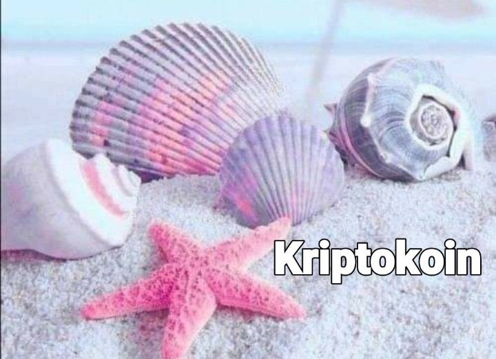 -KriptoKoin Turkey Community Loves You. <a href="/cz_binance/">CZ 🔶 BNB</a> 
-Waiting for your sign.
⚜️Turkey community leader of KriptoKoin⚜️
           Soner DEMİR
<a href="/bitcicom/">bitcicom</a> 
<a href="/kriptokoin/">Kriptokoin</a> 
<a href="/onuraltantan/">Onur Altan Tan</a> 
<a href="/bcagdascaglar/">Çağdaş Çağlar</a> 
<a href="/binance/">Binance</a> 
<a href="/BinanceTR/">Binance TR</a>