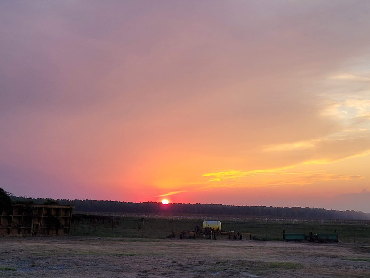 AshleyReneeWx's tweet photo. Sunset over #ScottMS last night π #mississippidelta #mswx #viewerphoto @The_Delta_News @NWSJacksonMS https://t.co/UArlblgTzj