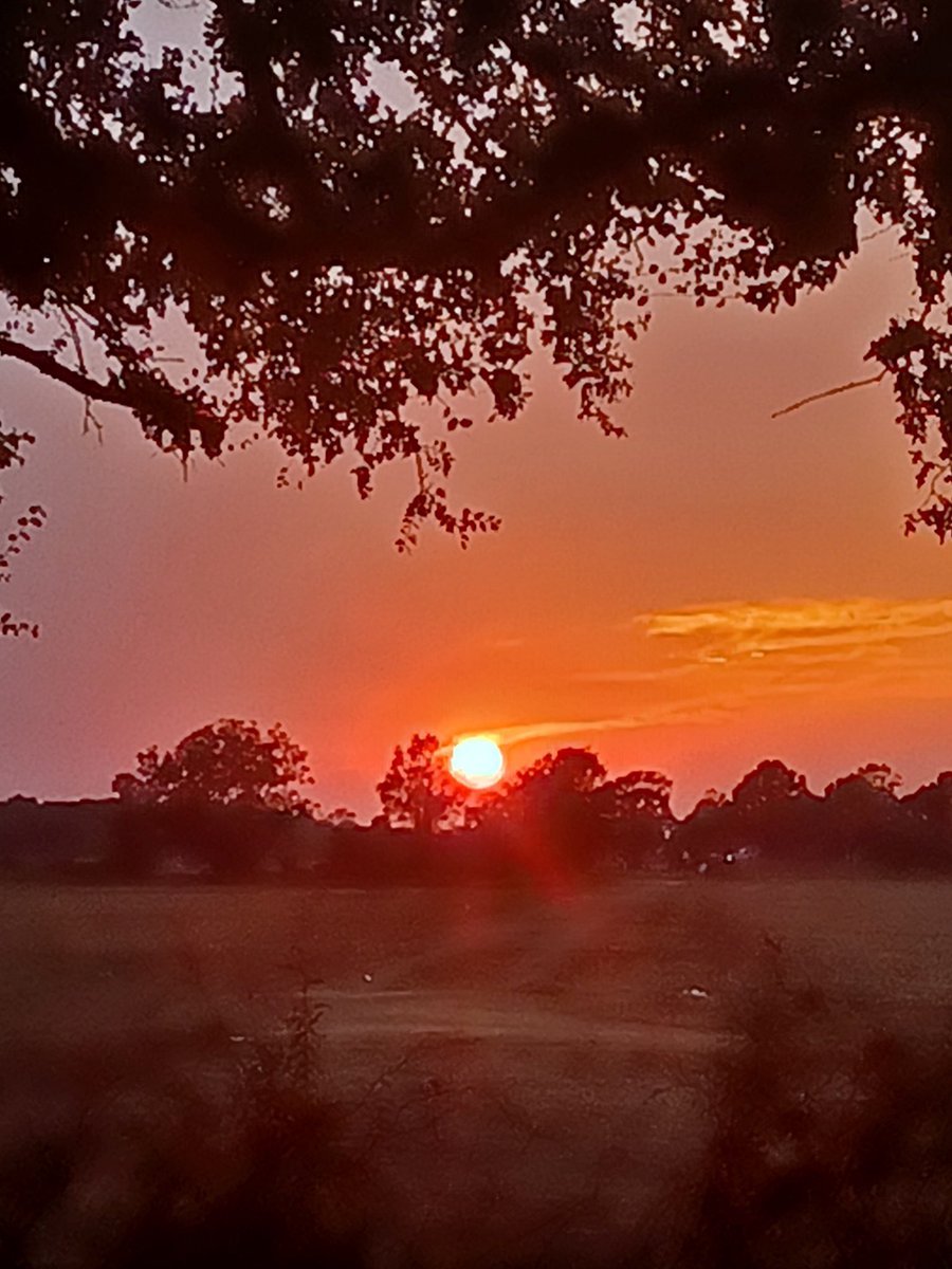 AshleyReneeWx's tweet photo. Absolutely stunning sunset over #ShawMS last night 😍 #mswx #mississippidelta #viewerphoto @The_Delta_News @NWSJacksonMS https://t.co/hvih33iADO