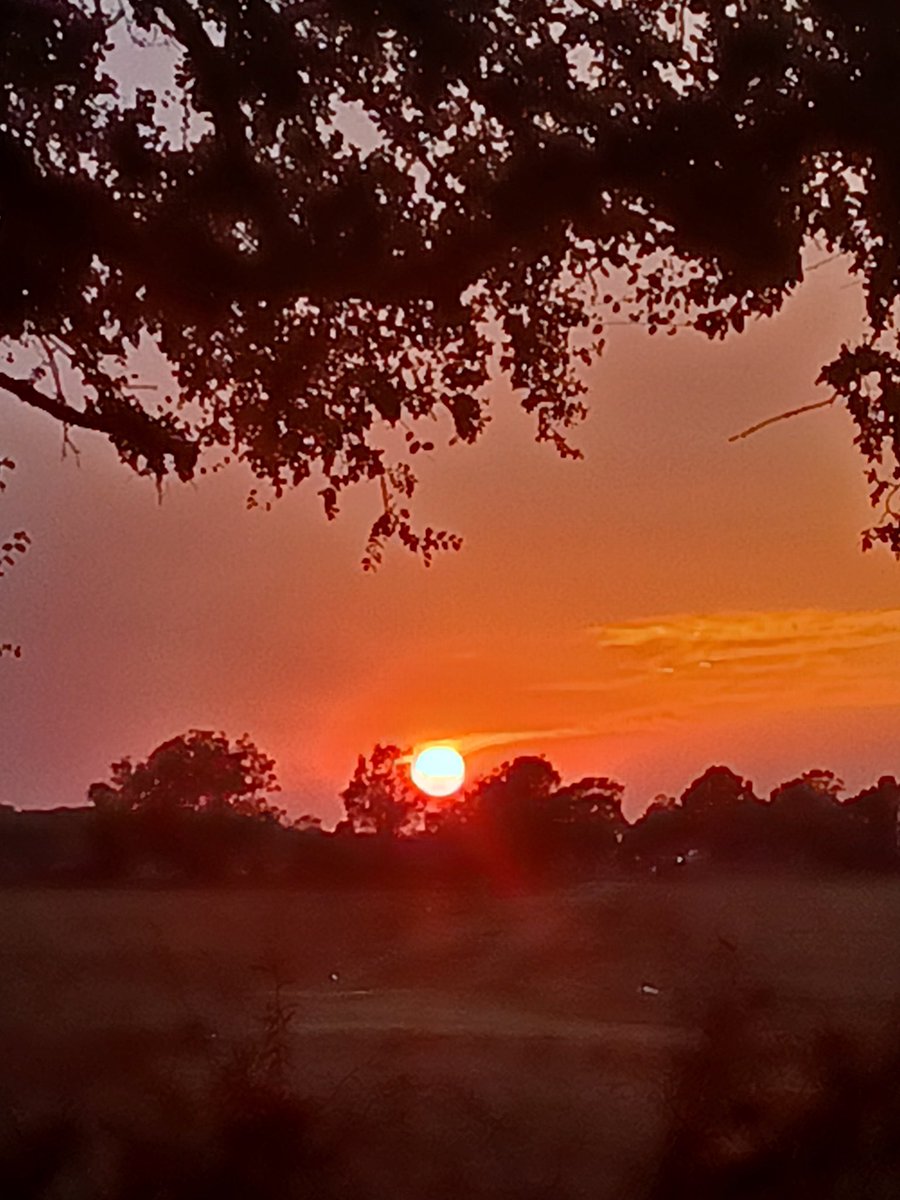 AshleyReneeWx's tweet photo. Absolutely stunning sunset over #ShawMS last night 😍 #mswx #mississippidelta #viewerphoto @The_Delta_News @NWSJacksonMS https://t.co/hvih33iADO