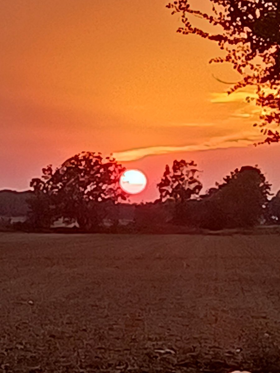 AshleyReneeWx's tweet photo. Absolutely stunning sunset over #ShawMS last night 😍 #mswx #mississippidelta #viewerphoto @The_Delta_News @NWSJacksonMS https://t.co/hvih33iADO