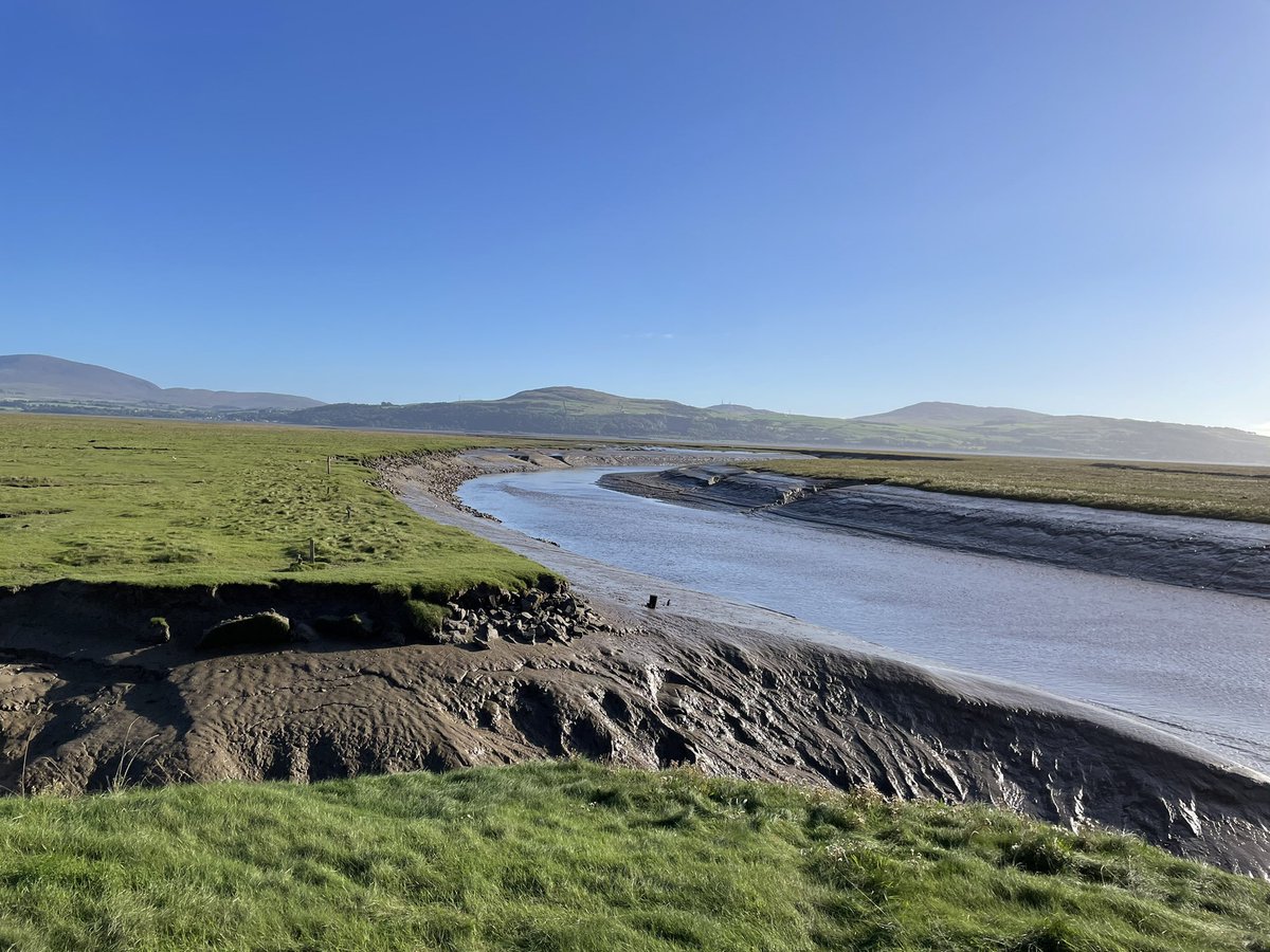 Will Watson (@drwillwatson) on Twitter photo Beautiful scenery at <a href="/WigtownBookFest/">WigtownBookFestival</a> day 2. And I bought too much Wodehouse before lunch. Beautiful scenery at <a href="/WigtownBookFest/">WigtownBookFestival</a> day 2. And I bought too much Wodehouse before lunch.