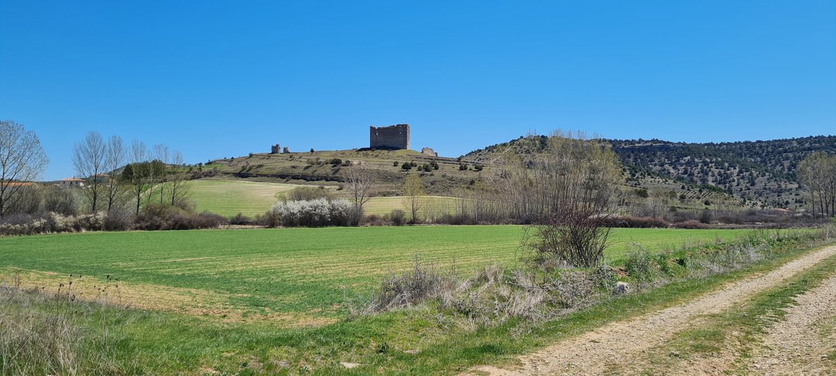 gracidepablo's tweet photo. #proyecto52 @mongeleon #39de52 lo que queda del castillo de Cabrejas de Pinar de lejos https://t.co/V6Sv4iU03n