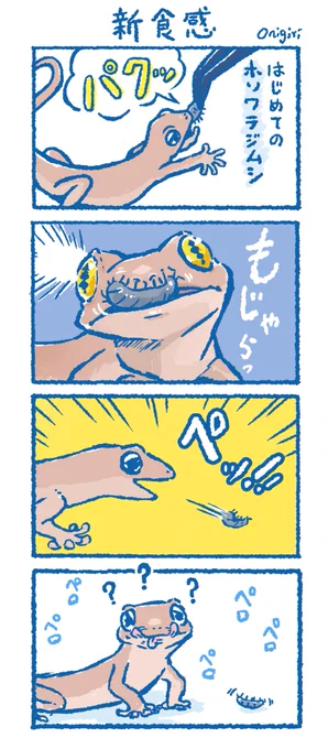 これはヤモラちゃんに初めて
ホソワラジムシをあげたときの事
#爬虫類 #ニホンヤモリ #ヤモリ 
#飼育 #漫画が読めるハッシュタグ 