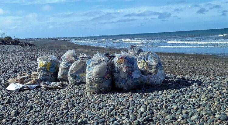 RadioChubut's tweet photo. #Rawson Junto a vecinos autoconvocados, Ambiente participó de actividades de limpieza en “#ElElsa”

Más de 300 kg de residuos sólidos urbanos se recolectaron durante la jornada.

Seguí leyendo en 🔽
 https://t.co/efQcwEN3kG https://t.co/rsugWBXxFZ