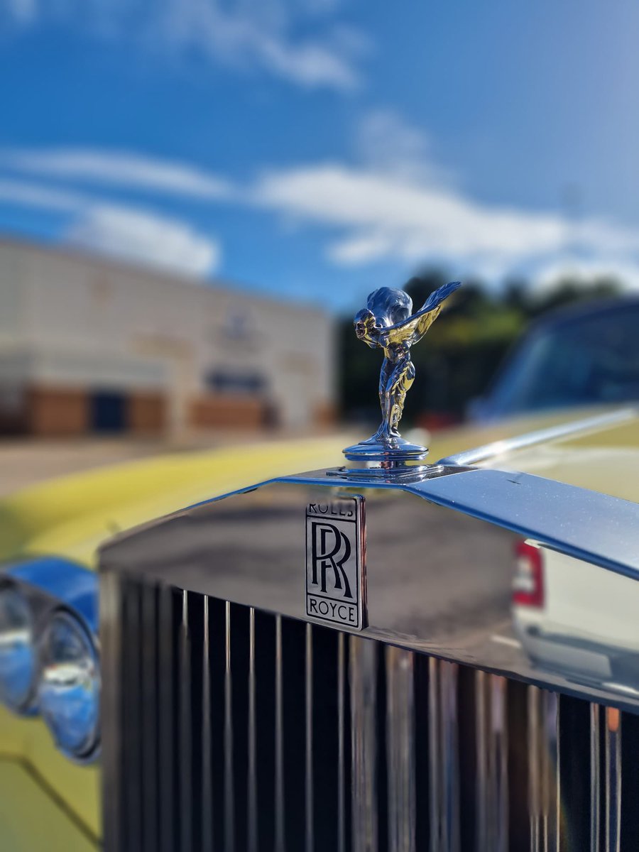 DealerTransfers's tweet photo. Happy Monday 
#transport 
#logistics 
#cardelivery 
#classiccars 
#classics 
#carbusiness 
#cartransport 
#vehicletransport https://t.co/QKdVmGphRD