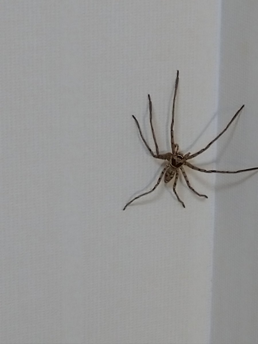 アシタカクモ Twitter Search Twitter