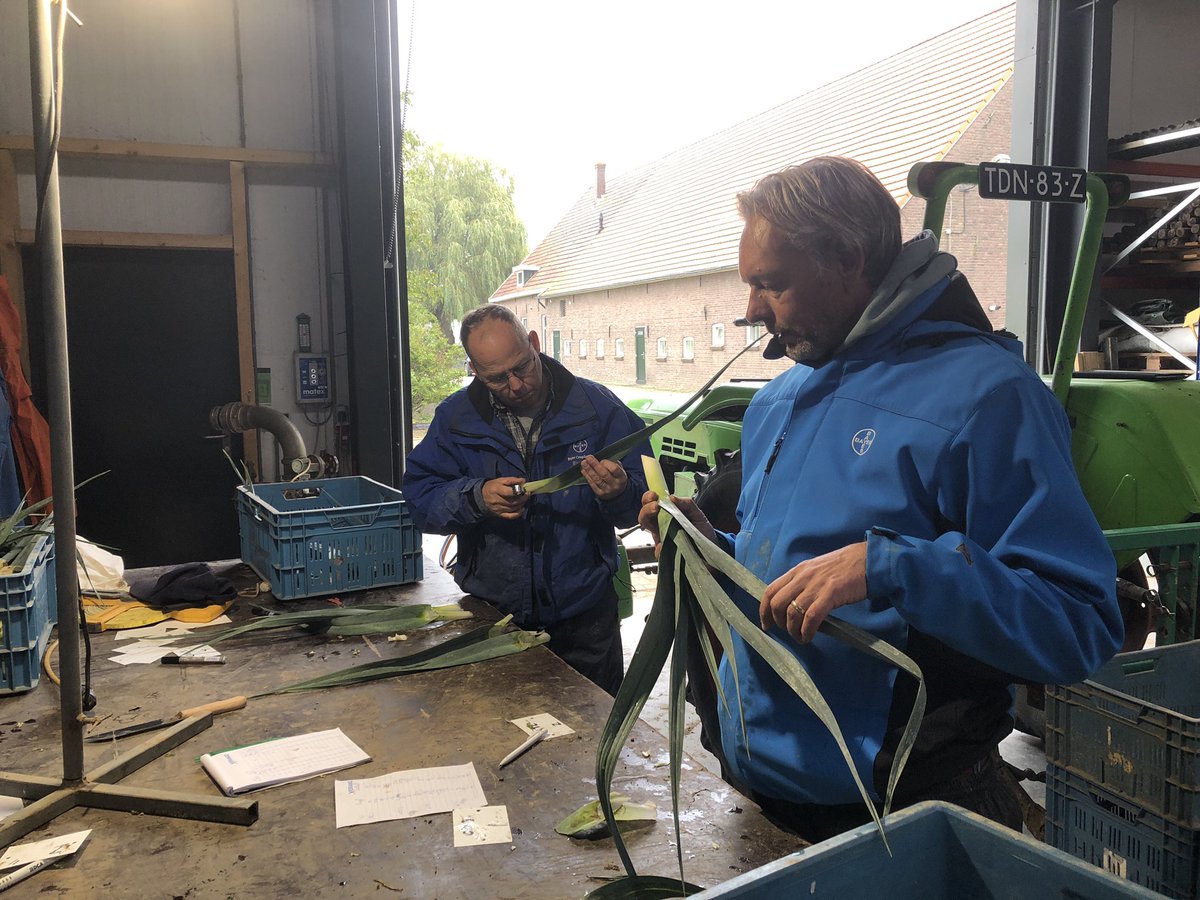 Sander Uwland tweet media