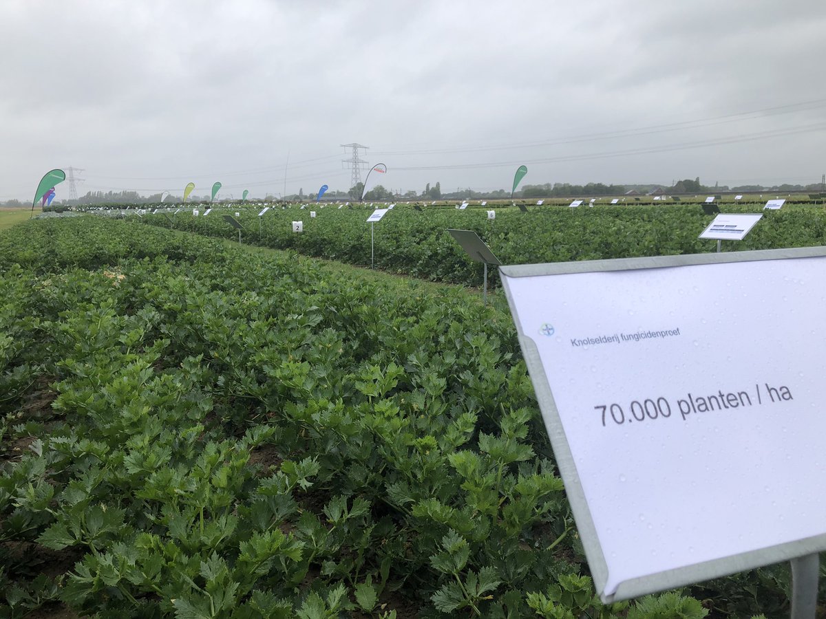 Sander Uwland tweet media