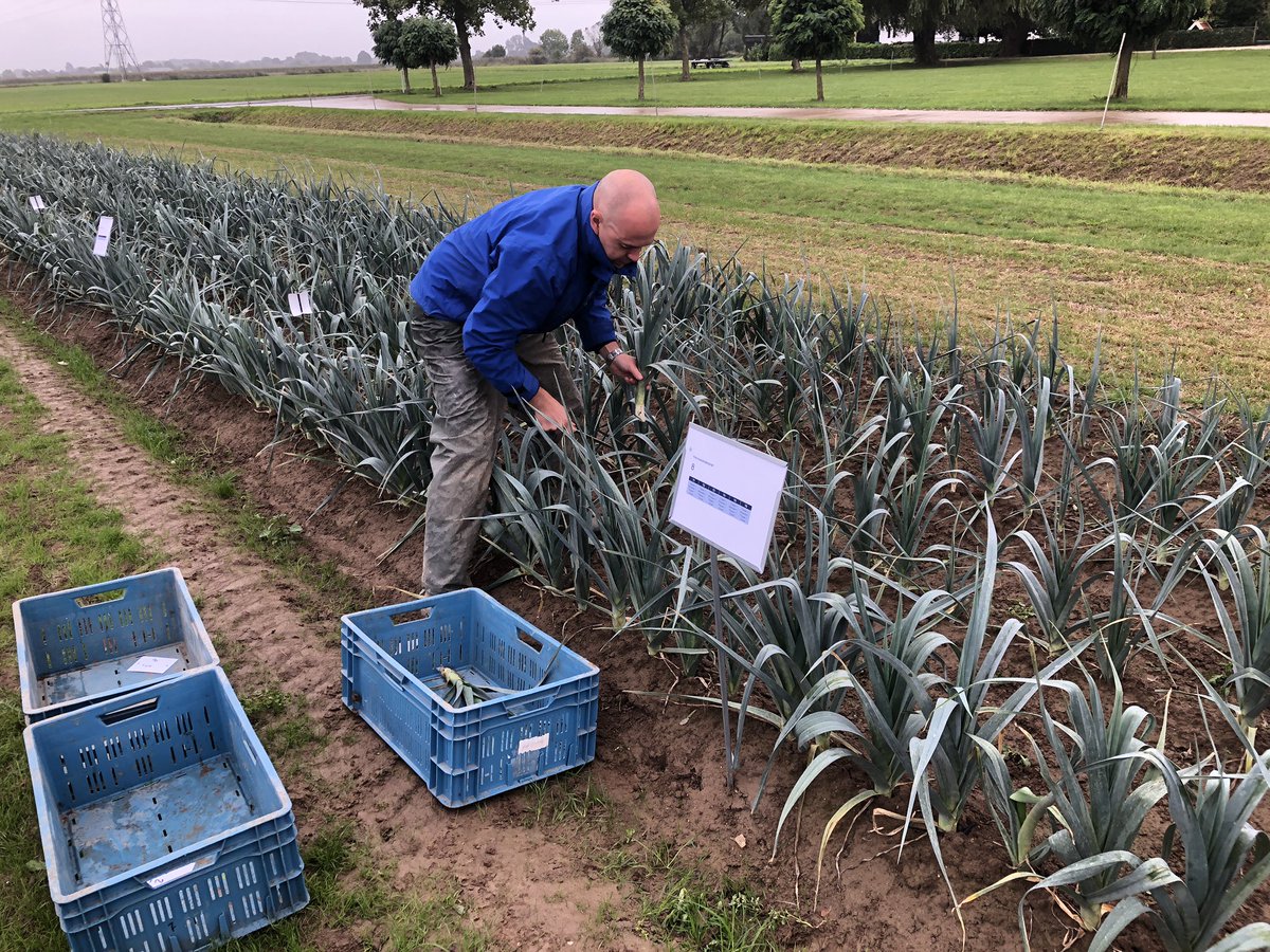 Sander Uwland tweet media