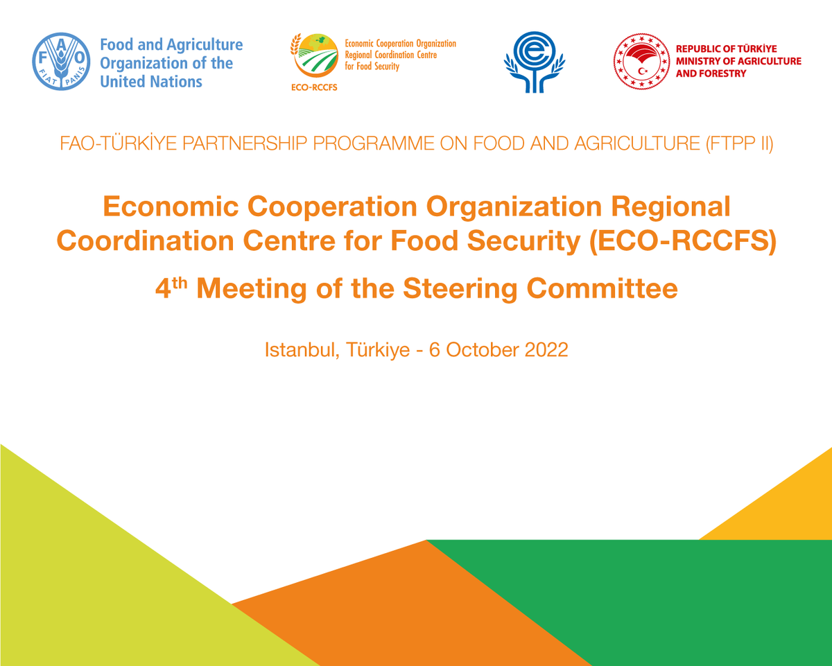 eco_rccfs's tweet photo. 4th Steering Committee meeting of ECO-RCCFS will be held on 6th October 2022 in İstanbul, Türkiye https://t.co/gfIHt060Ep