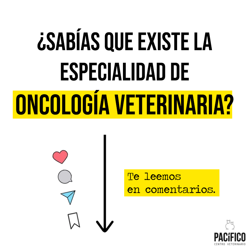 CVPACÍFICO tweet media