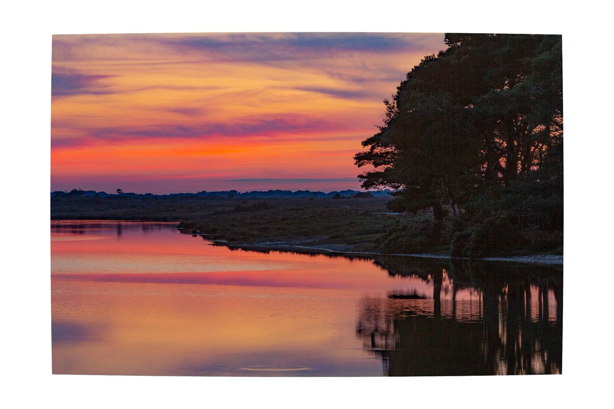 Dwardski's tweet photo. New Forest sunset, last week. #EveryoneNeedsNature https://t.co/eSKvXe1CwS