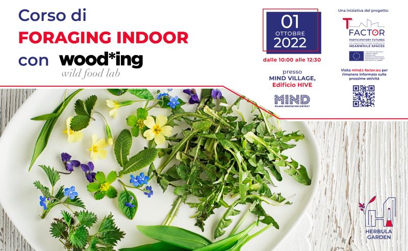 t_factor_eu's tweet photo. #TFactor Milan pilot has opened a new season of activities at #MIND Milano Innovation District with a course on foraging!
Participants will immerse themselves in the world of botany, with the course run by #Wooding Wild Food Lab
📍 Saturday 1st October
https://t.co/DeZ0Fx3PBp https://t.co/RLFdw4Gecb