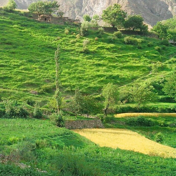RGongloo's tweet photo. A stunning and fascinating tourist destination, the Gappa Valley is situated in Nagar District. This valley offers unique opportunities for hiking and tracking, as well as spectacular views of natural beauty.
.
.
.
For hotel booking visit.
Visit:https://t.co/Be6Ebr1LcP https://t.co/3xZgugvcwr