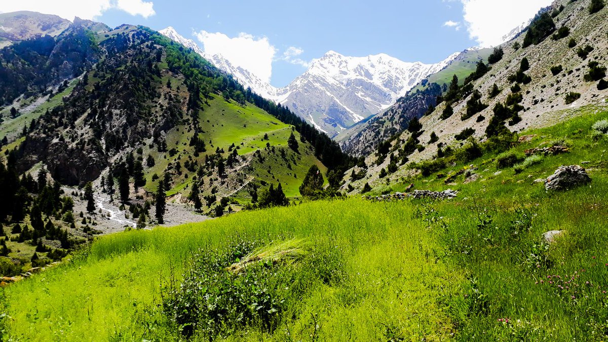 RGongloo's tweet photo. A stunning and fascinating tourist destination, the Gappa Valley is situated in Nagar District. This valley offers unique opportunities for hiking and tracking, as well as spectacular views of natural beauty.
.
.
.
For hotel booking visit.
Visit:https://t.co/Be6Ebr1LcP https://t.co/3xZgugvcwr