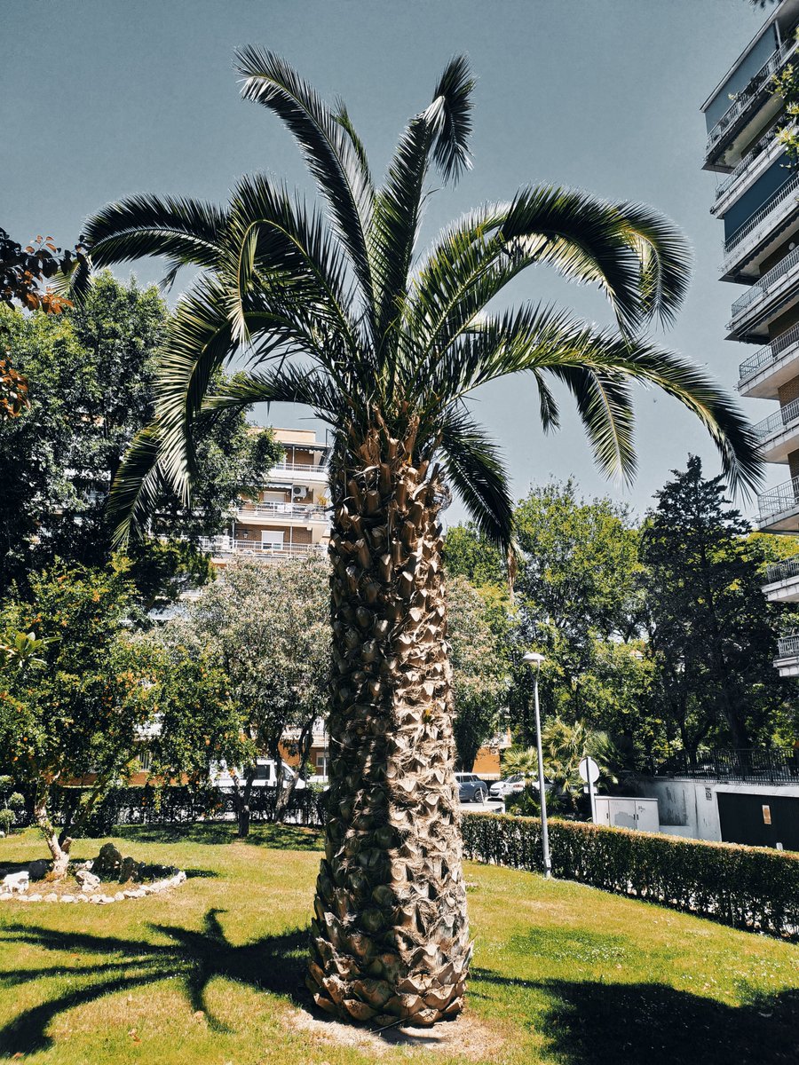 28agosto_88's tweet photo. #mostoles @AAhimos #mostolescity #photography #photographer #photographylovers @LMDMostoles
Imágenes de Estoril II https://t.co/x0EBZ2cMdK